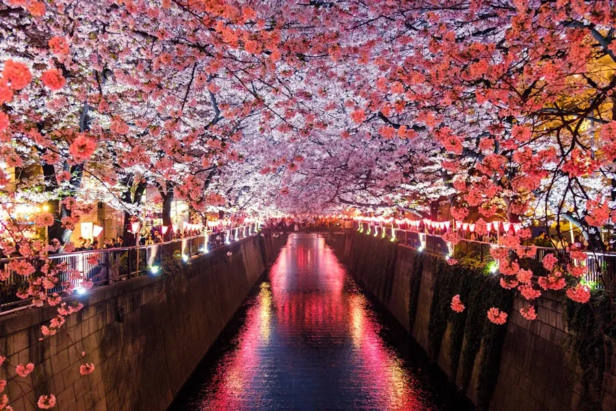 Japón tradicional