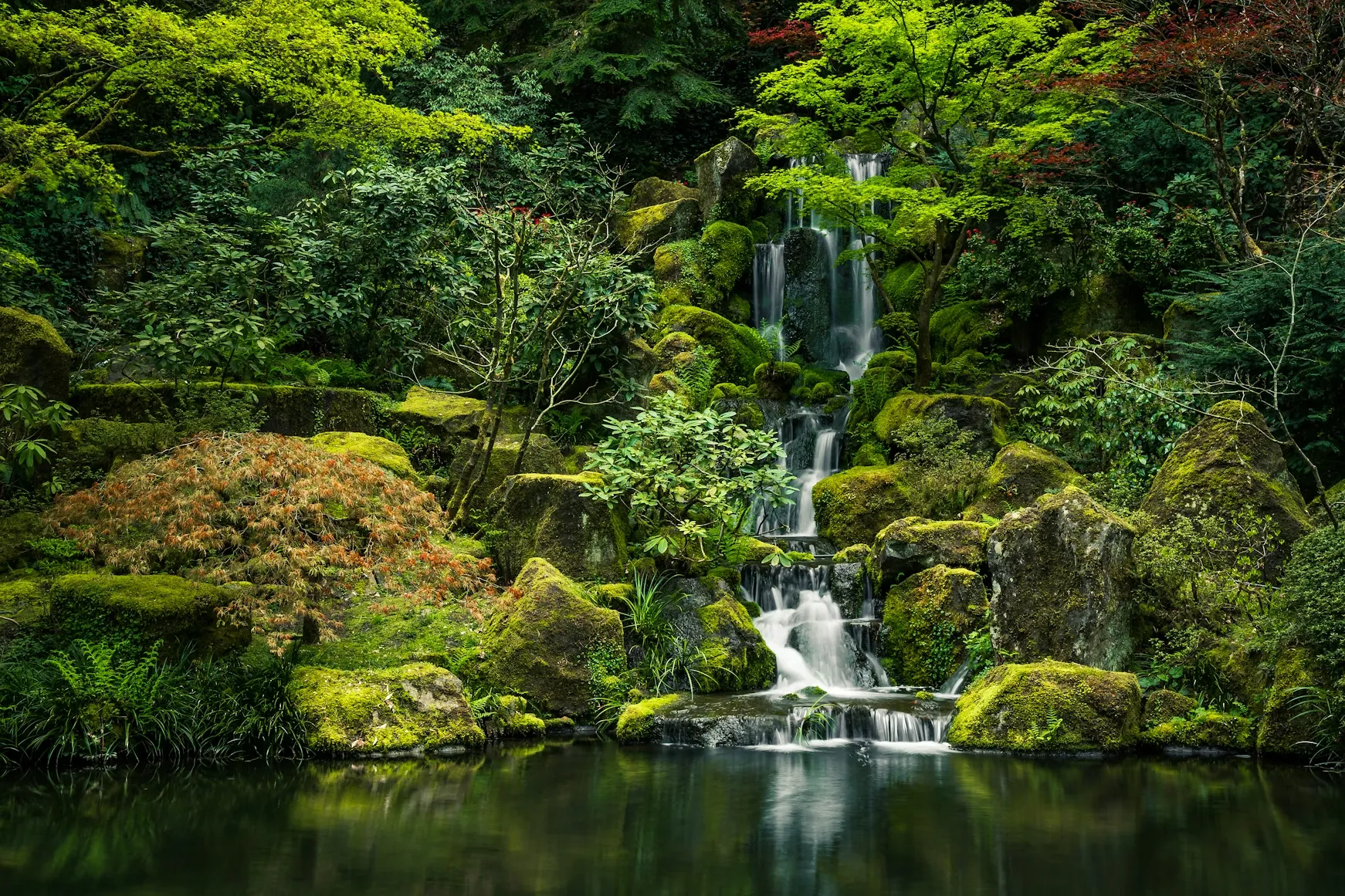 Jardín japonés